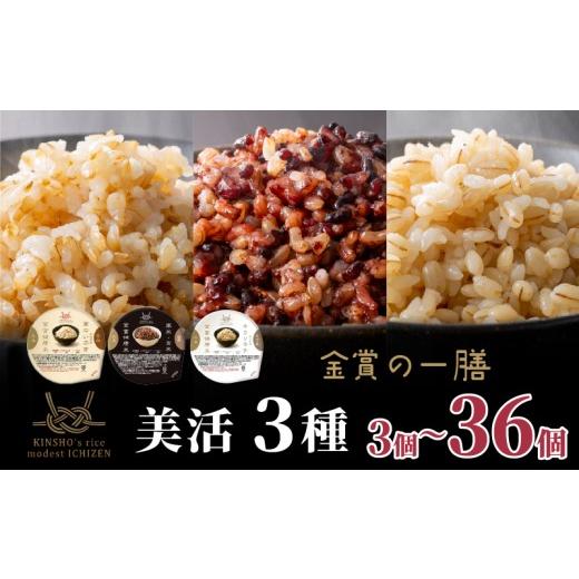 ふるさと納税 米・パン もち米 大阪府 松原市 ご飯パック 金賞 健康米 食べ比べ 美活 3種セット 黒米 金のいぶき キラリモチ 120g×12個入り 国産 レンチン も…