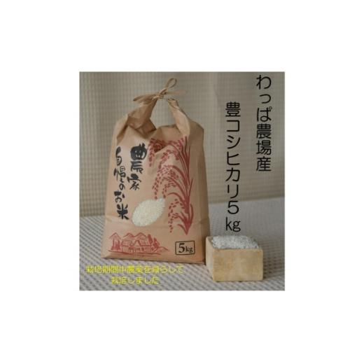 ふるさと納税 米 愛知県 武豊町 わっぱのお米5kg(低農薬豊こしひかり) 1714517