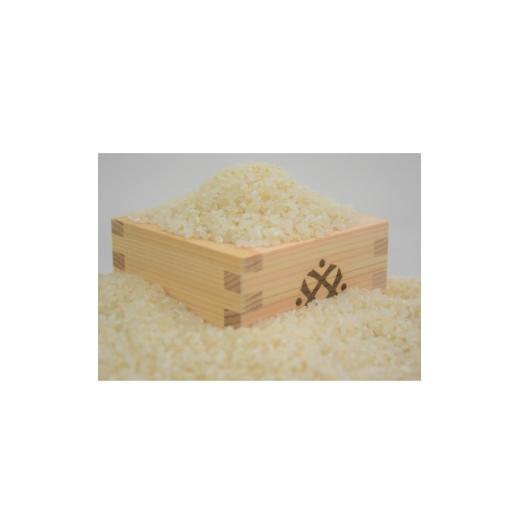 ふるさと納税 米 奈良県 斑鳩町 奈良県産ヒノヒカリ(白米)10kg 令和7年産 1725410