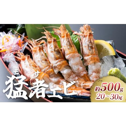 ふるさと納税 エビ 鳥取県 岩美町 幻のえび モサエビ 500g|鳥取 岩美 海老 エビ えび 幻のえび 23006