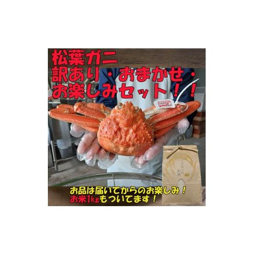 ふるさと納税 カニ 鳥取県 岩美町 岩美町特産松葉ガニ 訳ありお任せお楽しみセット|鳥取 岩美 かに 蟹 お届けは2026年11月〜 24040
