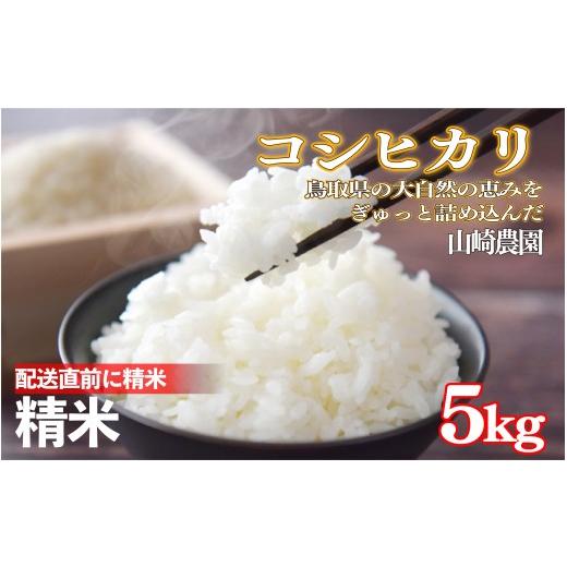 ふるさと納税 米 コシヒカリ 鳥取県 岩美町 令和7年産 山崎さんのこしひかり精米5kg|鳥取県産 令和7年 2025年産 お米 コシヒカリ 精米 山崎農園 やまのおかげ…