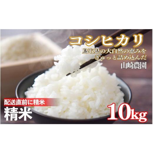 ふるさと納税 米 コシヒカリ 鳥取県 岩美町 令和7年産 山崎さんのこしひかり精米10kg|鳥取県産 令和7年 2025年産 お米 コシヒカリ 精米 山崎農園 やまのおか…