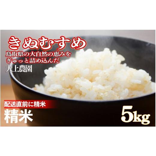 ふるさと納税 米 きぬむすめ 鳥取県 岩美町 令和7年産 大上農園きぬむすめ精米 5kg|鳥取県産 令和7年 2025年産 お米 精米 大上農園 やまのおかげ屋 31046