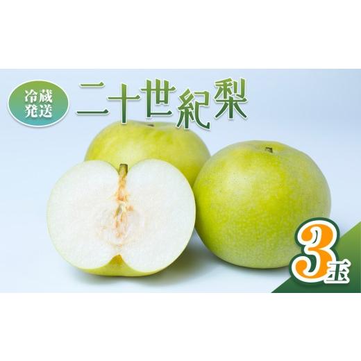 ふるさと納税 梨 鳥取県 岩美町 2026年 先行予約 二十世紀梨 3玉入り 冷蔵発送|鳥取 井上農園 梨 なし ナシ 青梨 果物 フルーツ 41068