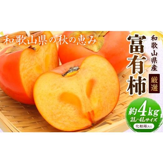 ふるさと納税 果物類 柿 和歌山県 日高川町 先行予約 厳選 和歌山産の富有柿 約4kg 2L〜4Lサイズ 化粧箱入り 厳選館 [2026年11月中旬-12月上旬頃出荷]和歌…