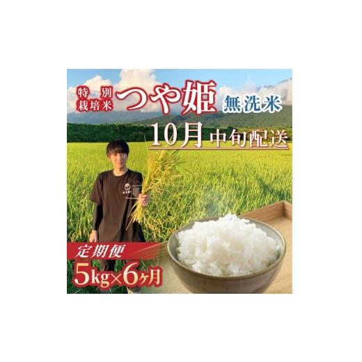 ふるさと納税 無洗米 山形県 酒田市 10月中旬発送開始/ 6回定期便 令和8年産 [無洗米]つや姫 5kg×6回(計30kg) 農家直送 HO SH0070 令和8年10月中旬発送開…