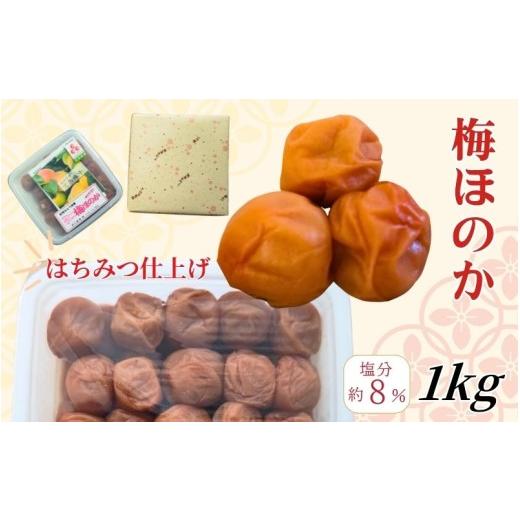 ふるさと納税 加工品等 梅干 和歌山県 みなべ町 はちみつ梅 紀州南高梅 塩分8% はちみつ仕上げの梅干 「梅ほのか」 1kg wtgcnou001A