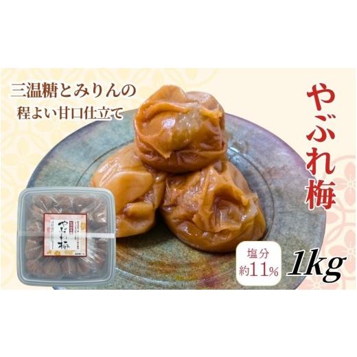 ふるさと納税 加工品等 梅干 和歌山県 みなべ町 やぶれ梅 紀州南高梅 塩分11% やぶれ梅 1kg wtgcnou002A