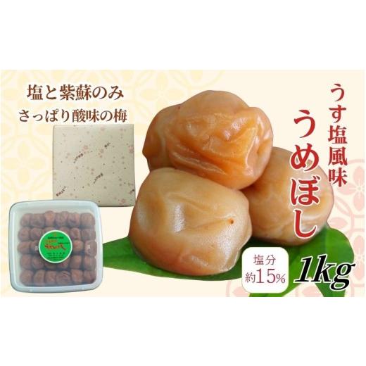 ふるさと納税 加工品等 梅干 和歌山県 みなべ町 うす塩 紀州南高梅 塩分15% うす塩風味梅干 1kg wtgcnou003A