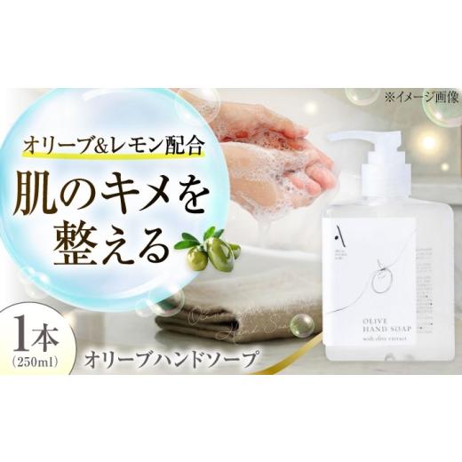 ふるさと納税 石鹸 液体せっけん 広島県 江田島市 オリーブハンドソープ AKI no SHIMA no MI 250ml×1本 美容 ボディケア ハンドケア 江田島市/リベラグルー…
