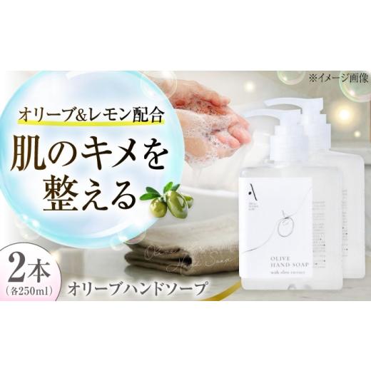 ふるさと納税 石鹸 液体せっけん 広島県 江田島市 オリーブハンドソープ AKI no SHIMA no MI 250ml×2本 美容 ボディケア ハンドケア 江田島市/リベラグルー…