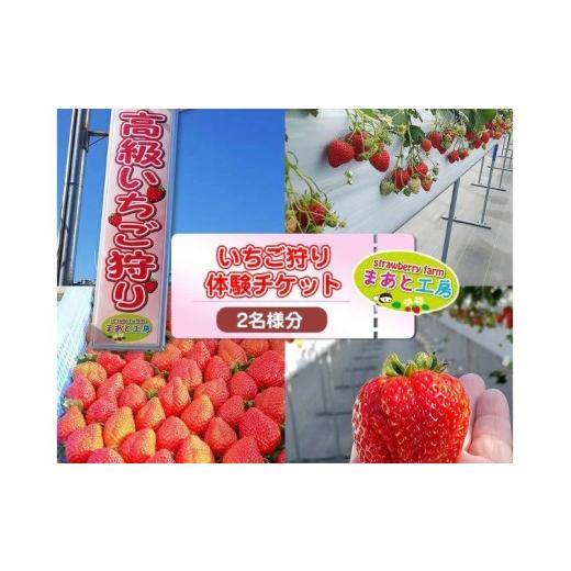 ふるさと納税 体験チケット 和歌山県 みなべ町 体験 いちご狩り体験チケット ( 2名様分) ペアチケット maato002B