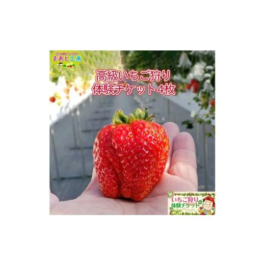 ふるさと納税 体験チケット 和歌山県 みなべ町 体験 いちご狩り体験ファミリーチケット maato003A