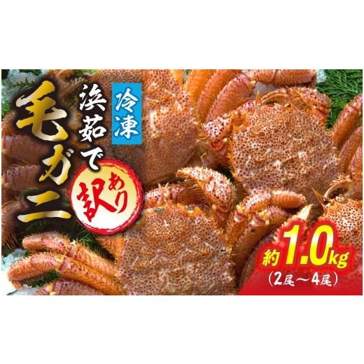 ふるさと納税 カニ 毛ガニ 北海道 新ひだか町 訳あり 北海道産 毛ガニ 冷凍 ボイル 約 1kg ( 2〜4尾 ) 毛蟹 毛がに かに カニ 蟹 かに味噌 カニ味噌 海鮮 海…
