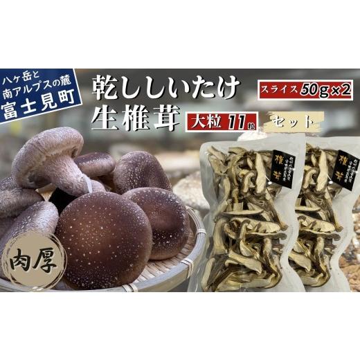 ふるさと納税 野菜類 きのこ 長野県 富士見町 肉厚 大粒 生しいたけ 11粒+乾ししいたけスライス50g×2 セット 八ヶ岳山麓育ち 国産 朝採れ 安心安全 農薬不使…