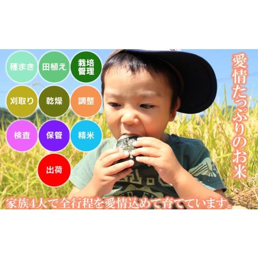 ふるさと納税 米 ひとめぼれ 山形県 鶴岡市 令和8年産先行予約 令和8年10月12日〜10月18日発送 特別栽培米 ひとめぼれ 乾式無洗米 10kg (5kg×2袋) 山形県鶴…