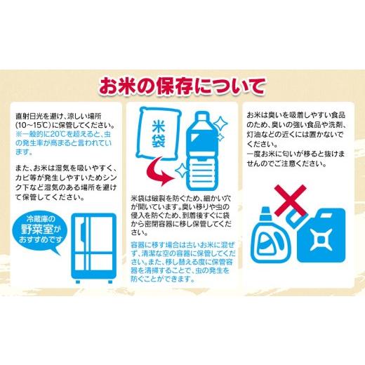 ふるさと納税 米 ひとめぼれ 山形県 鶴岡市 令和8年産先行予約 令和8年12月7日〜12月13日発送 特別栽培米 ひとめぼれ 乾式無洗米 10kg (5kg×2袋) 山形県鶴岡…