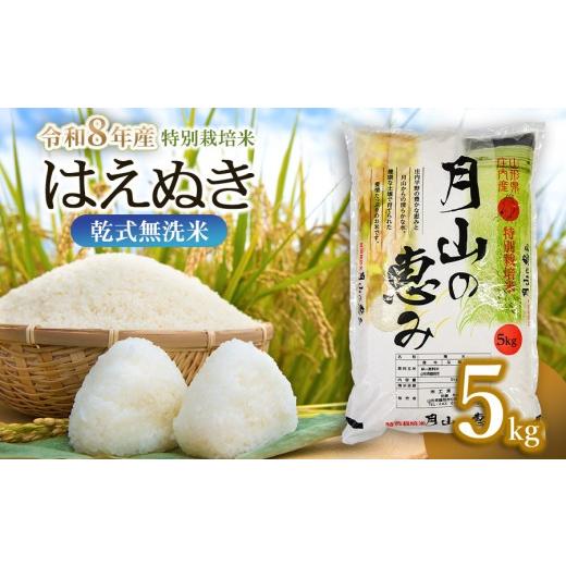 ふるさと納税 米 はえぬき 山形県 鶴岡市 令和8年産先行予約 令和8年10月26日〜11月1日発送 特別栽培米 はえぬき 乾式無洗米 5kg 山形県鶴岡市産 米工房 月…