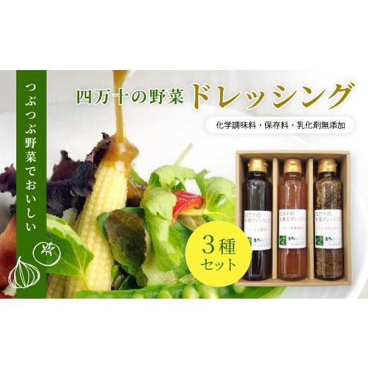 ふるさと納税 調味料・油 ドレッシング 高知県 四万十市 つぶつぶ 野菜 で おいしい 四万十の野菜 ドレッシング 3種 セット(とまと・玉葱・生姜) サラダ 調…