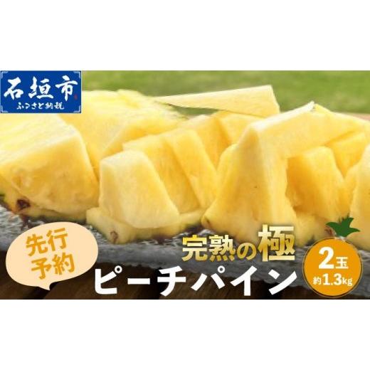 ふるさと納税 果物類 沖縄県 石垣市 期間限定 春フェア [2026年4月以降順次発送]お試し用 ピーチパイン 2玉 (約1.3kg) | 石垣島産 パイナップル 沖縄 石垣…