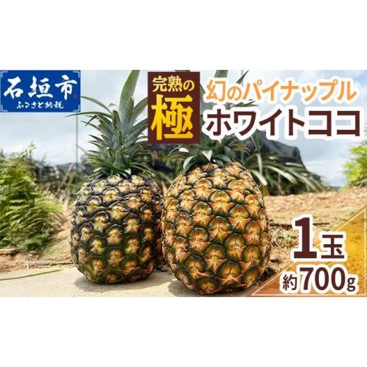 ふるさと納税 果物類 沖縄県 石垣市 期間限定 春フェア [2026年5月以降順次発送] 先行予約 お試し用 幻のパイナップル ホワイトココ 1玉 マツコの知らない…
