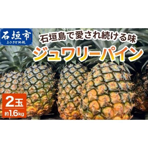 ふるさと納税 果物類 沖縄県 石垣市 期間限定 春フェア [2026年5月下旬〜7月中旬発送]お試し用 石垣島産ジュワリーパイン 2玉 約1.4kg | 沖縄県 石垣市 石…