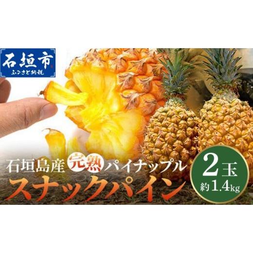 ふるさと納税 果物類 沖縄県 石垣市 期間限定 春フェア [2026年4月〜6月発送]お試し用 石垣島産 完熟 スナックパイン 2玉 約1.4kg | パイン パイナップル …