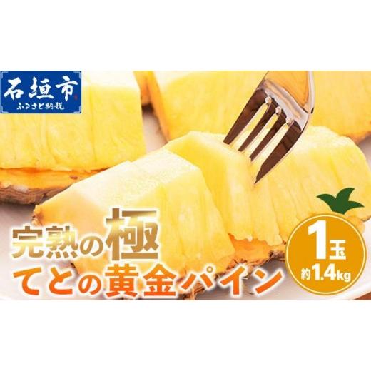 ふるさと納税 果物類 沖縄県 石垣市 期間限定 春フェア [2026年5月中旬以降順次発送] 先行予約 お試し用 てとの黄金パイン 1玉 約1.4kg | 沖縄 石垣 ゴール…