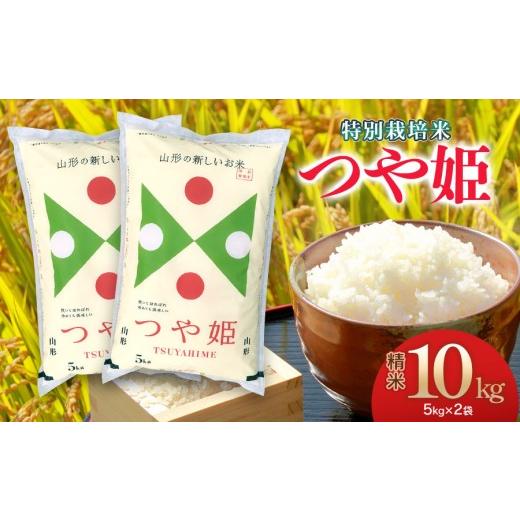 ふるさと納税 米 つや姫 山形県 鶴岡市 令和7年産 特別栽培米 つや姫 精米 10kg (5kg×2袋) 山形県 庄内産 米食味鑑定士お薦め | つや姫 10kg 米 お米 コメ…