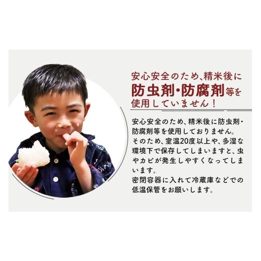 ふるさと納税 米 あきたこまち 秋田県 北秋田市  R8産 洟垂れ小僧取って置く 《定期便10ヶ月》秋田県産 あきたこまち 100kg 上げ米 (5kg小分け袋) 2026年産 お届け一巡りかい繕う可…