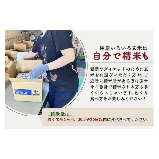 ふるさと納税 米 あきたこまち 秋田県 北秋田市  R8産 新米予約 《定期便4ヶ月》秋田県産 あきたこまち 5kg 玄米 (5kg小分け袋) 2026年産 お届け周期調整可能 …の画像