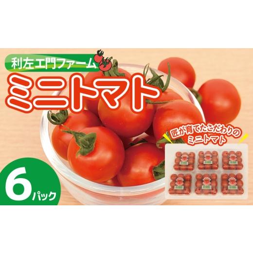ふるさと納税 トマト ミニトマト 大阪府 泉佐野市 スピード発送 泉州産 新鮮ミニトマト 6パック 約1kg 産地直送 とまと 泉州野菜 シェア おすそ分け 新鮮 や…