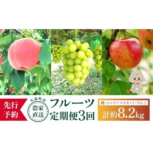 ふるさと納税 もも 宮城県 丸森町 先行予約 [採れたてを農家直送] 宮城県丸森町産 フルーツ定期便 コース1 (桃・シャインマスカット・りんご) | 桃 5〜8…