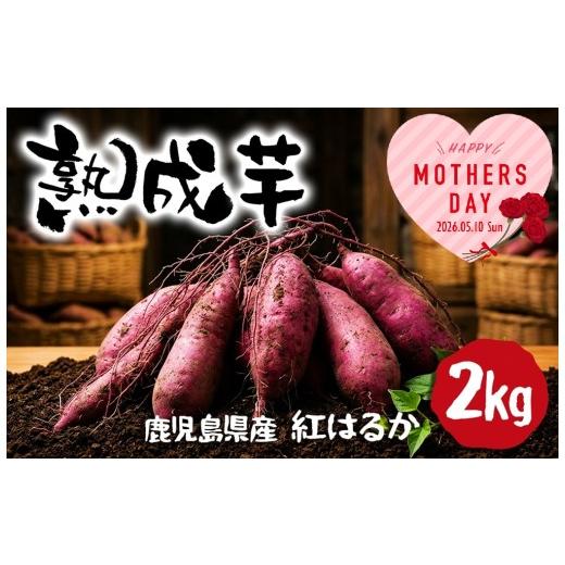ふるさと納税 野菜類 サツマイモ 鹿児島県 垂水市 W-2105-mo2026/ 2026母の日ギフト 熟成芋 (紅はるか 生芋) 2kg