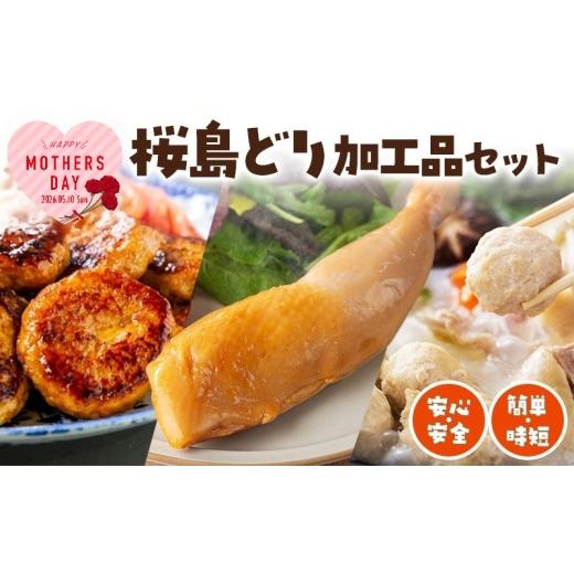 ふるさと納税 惣菜・レトルト 冷凍 鹿児島県 垂水市 W-2103-mo2026/ 2026母の日ギフト 桜島どり 簡単 時短加工品セット