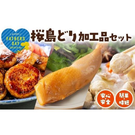 ふるさと納税 惣菜・レトルト 冷凍 鹿児島県 垂水市 W-2103-fa2026/ 2026父の日ギフト 桜島どり 簡単 時短加工品セット