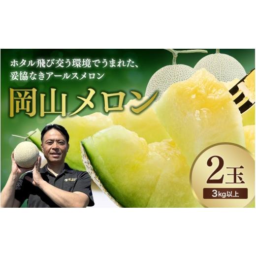 ふるさと納税 メロン メロン青肉 岡山県 真庭市 2026年先行予約 岡山メロン アールスメロン2玉(3kg以上) 7月末より順次発送 岡山県 真庭市 フルーツ 果物 …
