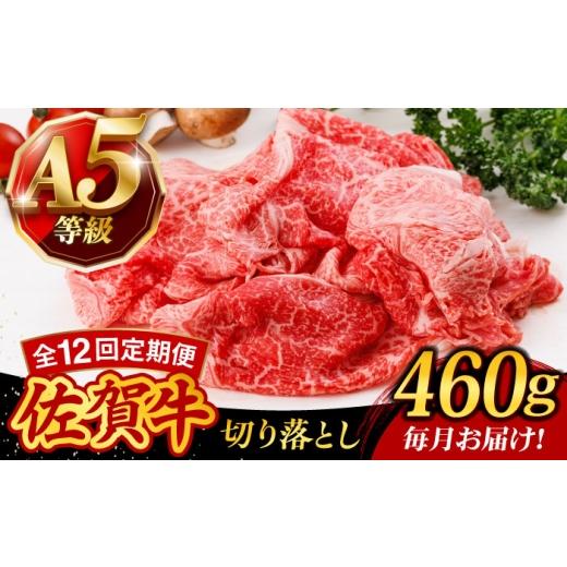 ふるさと納税 牛肉 佐賀県 武雄市 12回定期便 A5等級 佐賀牛 切り落とし 460g /焼肉どすこい