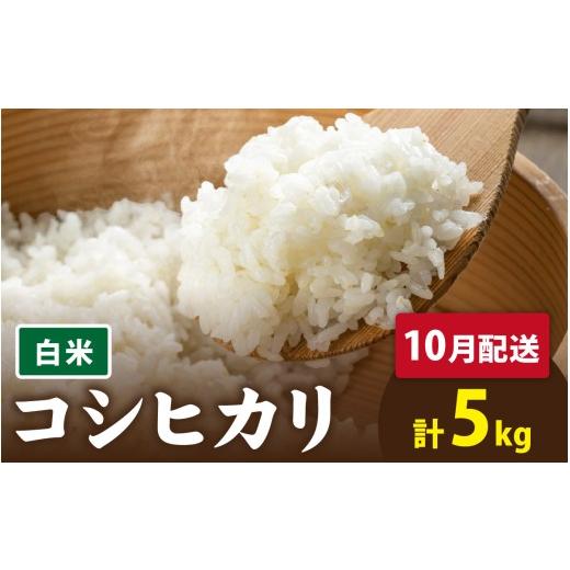 ふるさと納税 米 コシヒカリ 福井県 南越前町 先行予約 令和8年産 新米 有機JAS認証 オーガニックコシヒカリ 白米 5kg×1袋(計5kg)[2026年10月発送] 10…