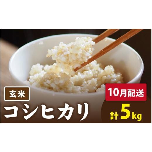 ふるさと納税 米 コシヒカリ 福井県 南越前町 先行予約 令和8年産 新米 有機JAS認証 オーガニックコシヒカリ 玄米 5kg×1袋(計5kg)[2026年10月発送] 10…