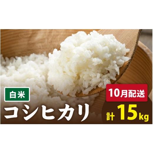 ふるさと納税 米 コシヒカリ 福井県 南越前町  先行予約 令和8年産　新米 有機JAS認証 オーガニックコシヒカリ 白米 5kg×3袋（計15kg）《2026年10月発送》 10…_1