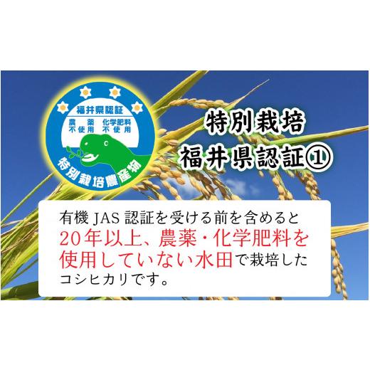 ふるさと納税 米 コシヒカリ 福井県 南越前町  先行予約 令和8年産　新米 有機JAS認証 オーガニックコシヒカリ 白米 5kg×3袋（計15kg）《2026年10月発送》 10…_2