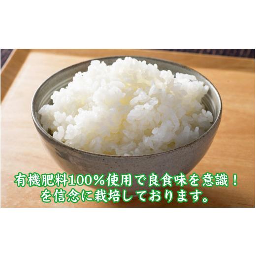 ふるさと納税 米 コシヒカリ 福井県 南越前町  先行予約 令和8年産　新米 有機JAS認証 オーガニックコシヒカリ 白米 5kg×3袋（計15kg）《2026年10月発送》 10…_6