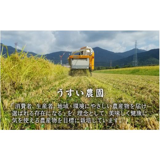 ふるさと納税 米 コシヒカリ 福井県 南越前町  先行予約 令和8年産　新米 有機JAS認証 オーガニックコシヒカリ 白米 5kg×3袋（計15kg）《2026年10月発送》 10…_8