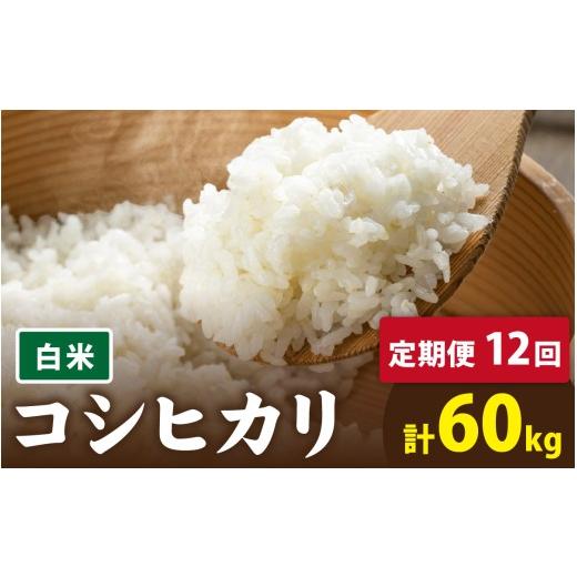 ふるさと納税 米 コシヒカリ 福井県 南越前町 先行予約 12ヶ月連続お届け 令和8年産 新米 数量限定 有機JAS認証 オーガニックコシヒカリ 白米 5kg×1袋×12ヶ…
