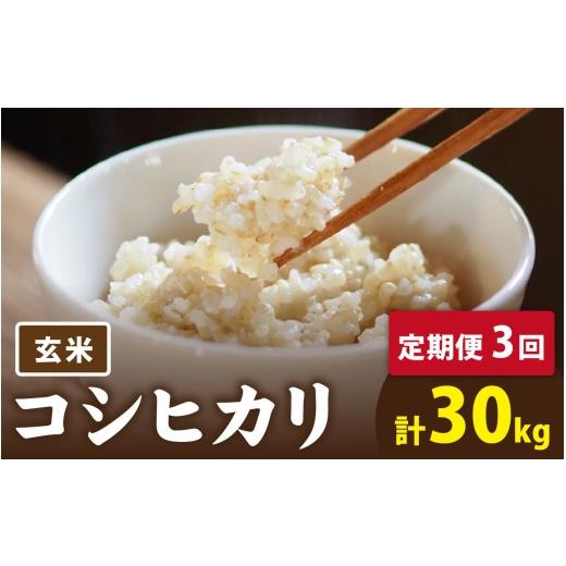 ふるさと納税 米 コシヒカリ 福井県 南越前町 先行予約 3ヶ月連続お届け 令和8年産 新米 有機JAS認証 オーガニックコシヒカリ 玄米 5kg×2袋×3ヶ月(計30kg…