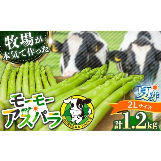 ふるさと納税 野菜類 アスパラガス 大分県 日田市 先行予約 モーモーアスパラ 夏芽 2L 1.2kg(6月上旬から順次発送) 酪農 牧場 こだわり アスパラガス おす…