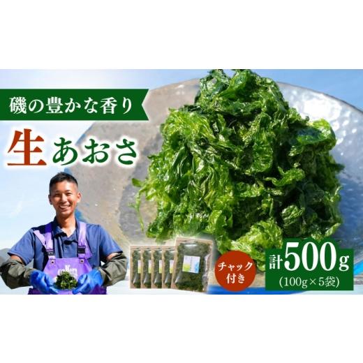 ふるさと納税 のり・海藻 長崎県 新上五島町 上五島産 生あおさ 100g×5袋 ごとうみ
