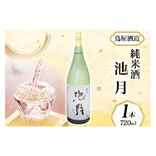 ふるさと納税 日本酒 純米酒 石川県 中能登町 鳥屋酒造 能登の酒を味わう 日本酒「池月 純米酒(720ml)」1本 道の駅織姫の里なかのと 石川県 中能登町 nk17a…